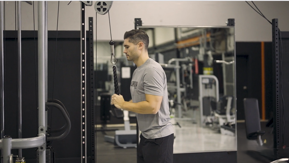 Corde à triceps