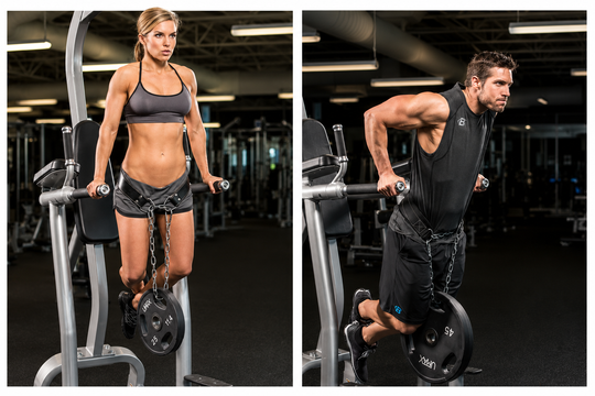 Grizzly Fitness Leather Pro Dip and Pull Up Ceinture de musculation avec chaîne de 91,4 cm pour homme et femme (taille unique)