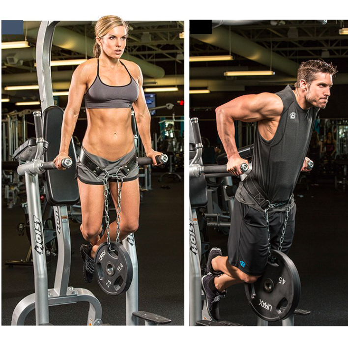 Grizzly Fitness Leather Pro Dip and Pull Up Ceinture de musculation avec chaîne de 91,4 cm pour homme et femme (taille unique)