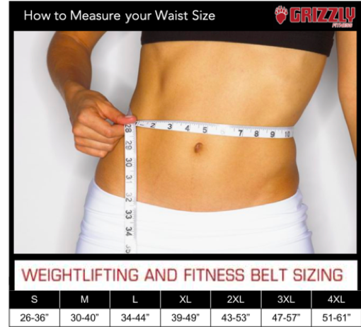 Grizzly Fitness Double Prong Power Lifting Weight Belt