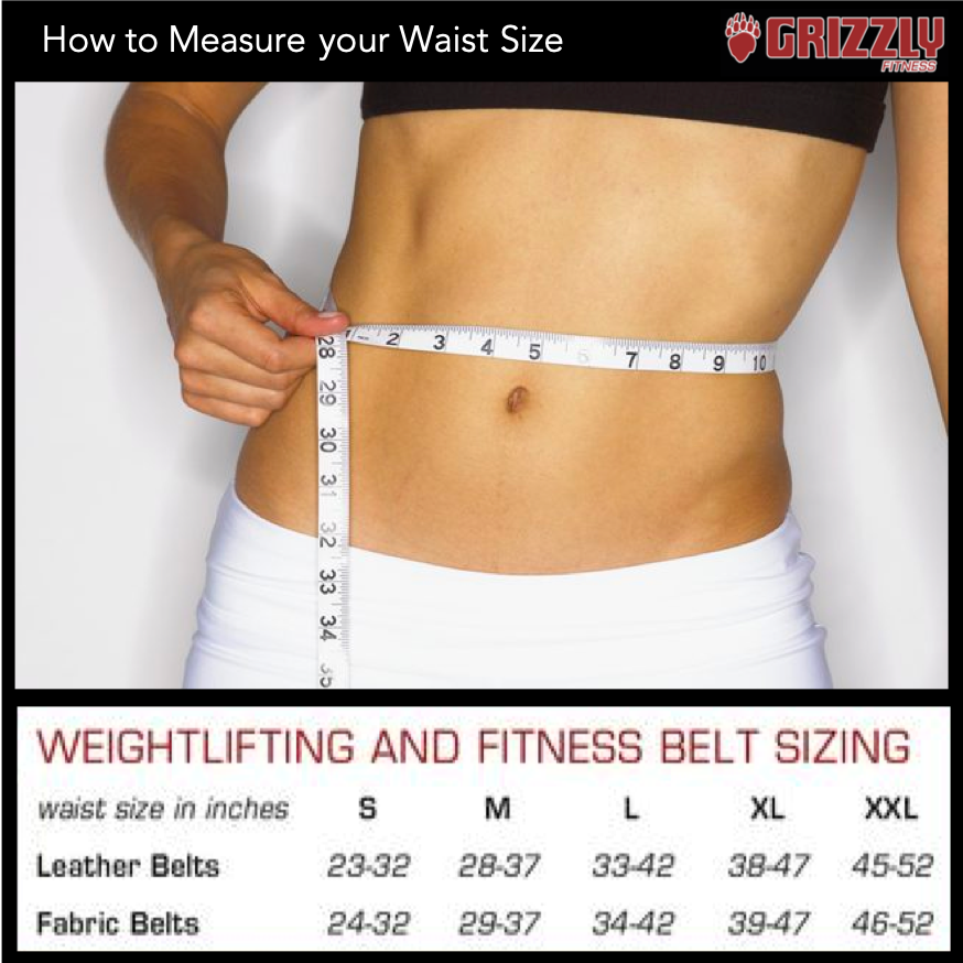 Grizzly Fitness Pacesetter Ceinture de musculation rembourrée pour homme et femme